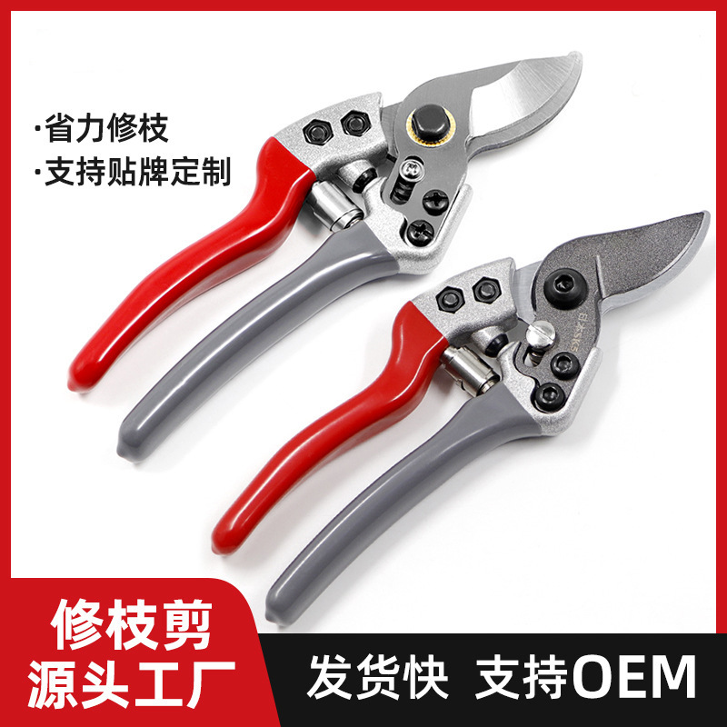 Eagle beak pruning shears, branch shears, garden flower branch shears, fruit tree pruning special fruit branch and flower art shears, thickened SK5 steel full figure