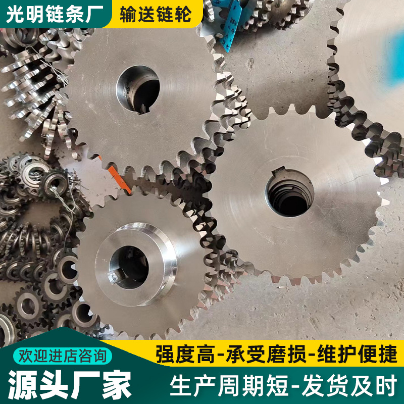 Double-row sprocket mixer chain sprocket bearing sprocket transmission chain mechanical parts complete set stainless steel sprocket Specification drawing