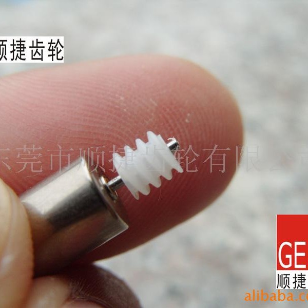 Hollow cup motor worm gear pig intestine tooth non- full figure