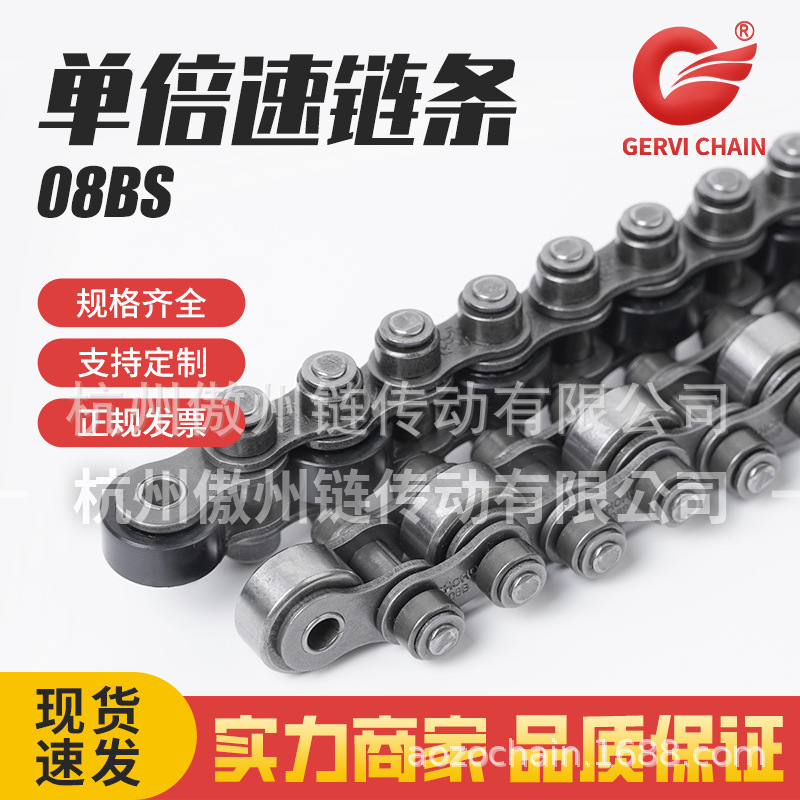 Double-sided roller single-speed chain 08BS pitch 12.7 nylon/steel double-speed chain assembly line double-speed line Specification drawing