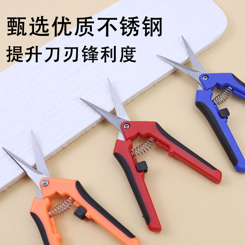 Wholesale stainless steel flower branch scissors, pruning shears, straight head garden tools, grape and vegetable shears, garden scissors manufacturer full figure