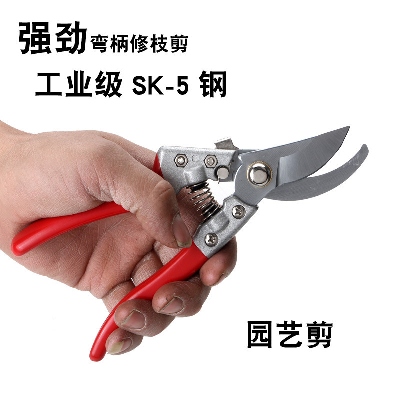 Pruning scissors, pruning garden thick branches, fruit tree flower shears, bonsai garden flowers, powerful floral art shears, plant shears V8V9 Specification drawing