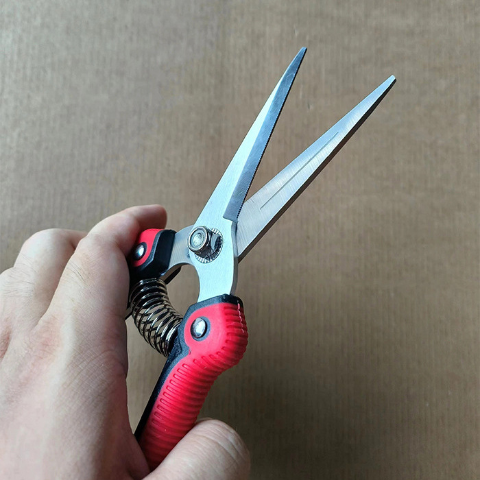 Cross-border flower and fruit thinning shears, fruit picking shears, powerful pear tree shears, stainless steel branch shears, fruit tree shears, new style pruning shears details Picture