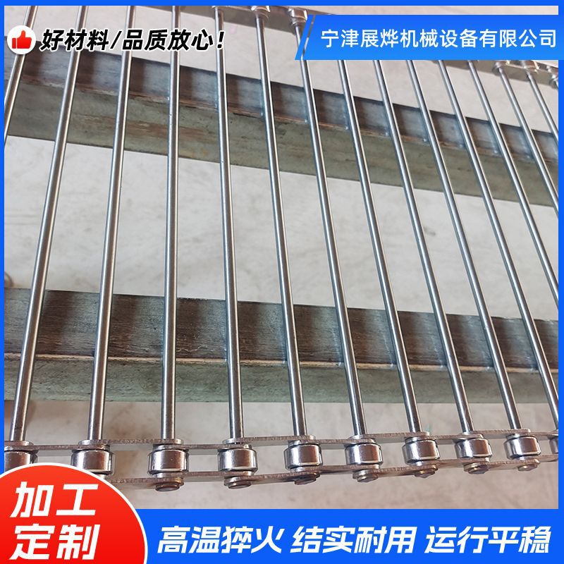 Stainless steel support shaft chain through rod chain, fruit and vegetable cleaning quail egg transportation production line, non-standard roller type support shaft chain Specification drawing