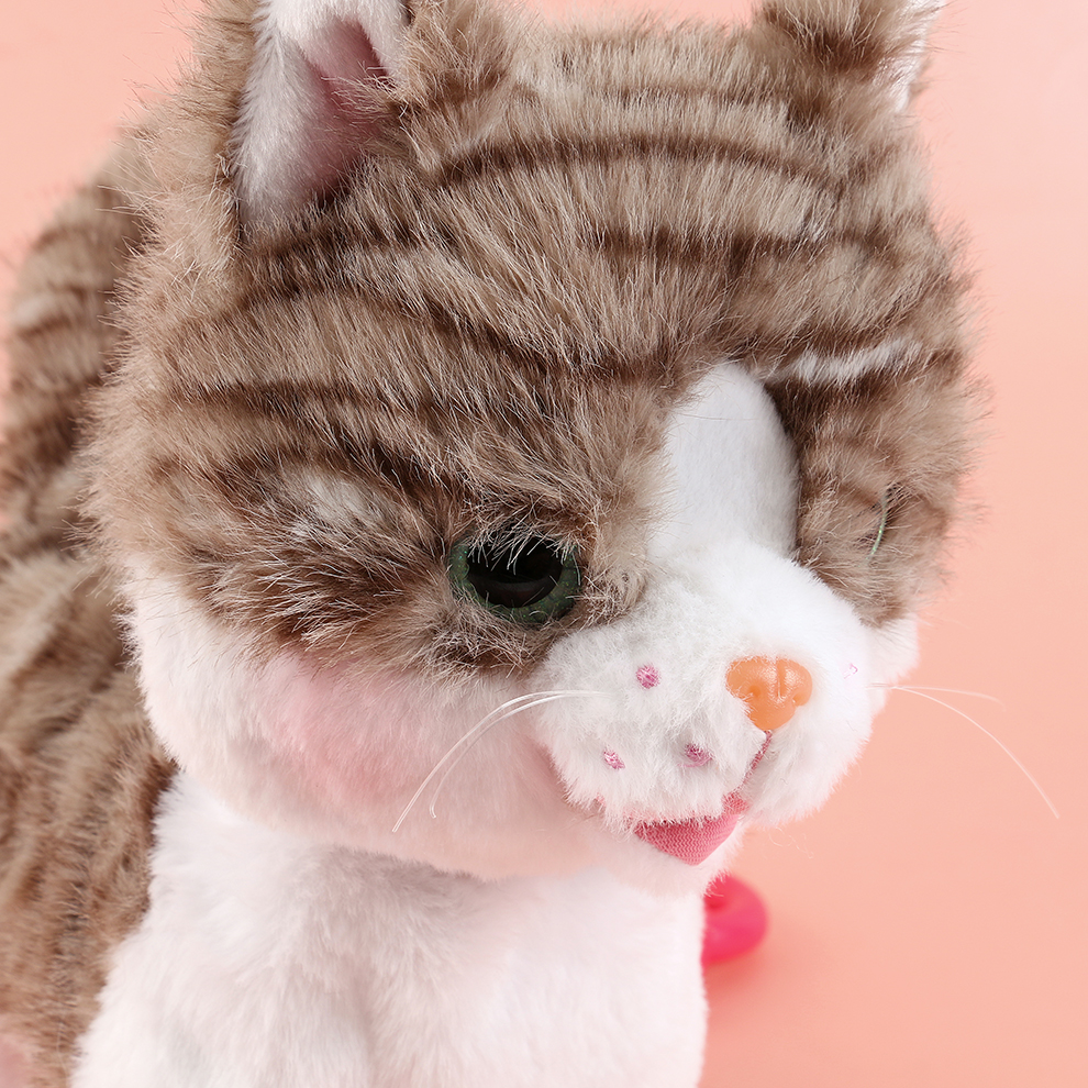 Gentle and graceful! Gentle and graceful electric plush kitten, super gentle in daily companionship, recording captures gentle moments, gentle and lovely singing Application Scenario
