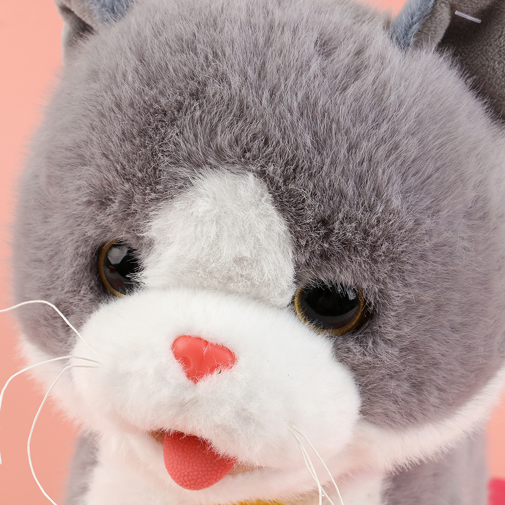 A grey electric plush kitten, playing and singing with you in summer, recording interesting stories while enjoying the cool, and being cute and licking its PAWS to wash its face Application Scenario