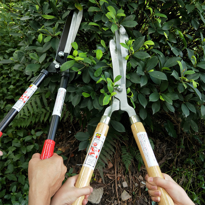 Extendable long-handled garden scissors, fence shears, garden fruit tree tall branch hedges, pruning shears, lawn shears SK5, effortless Application Scenario