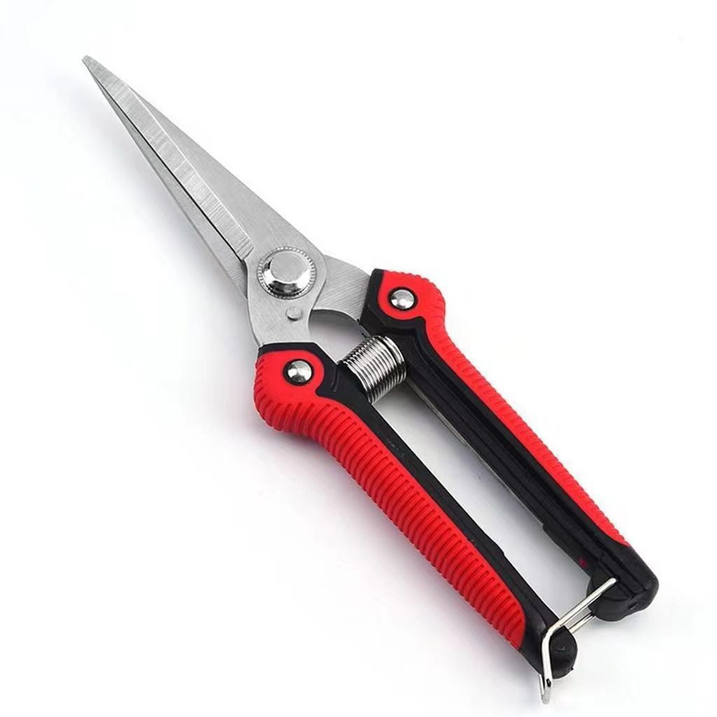 Cross-border flower and fruit thinning shears, fruit picking shears, powerful pear tree shears, stainless steel branch shears, fruit tree shears, new style pruning shears Item Picture