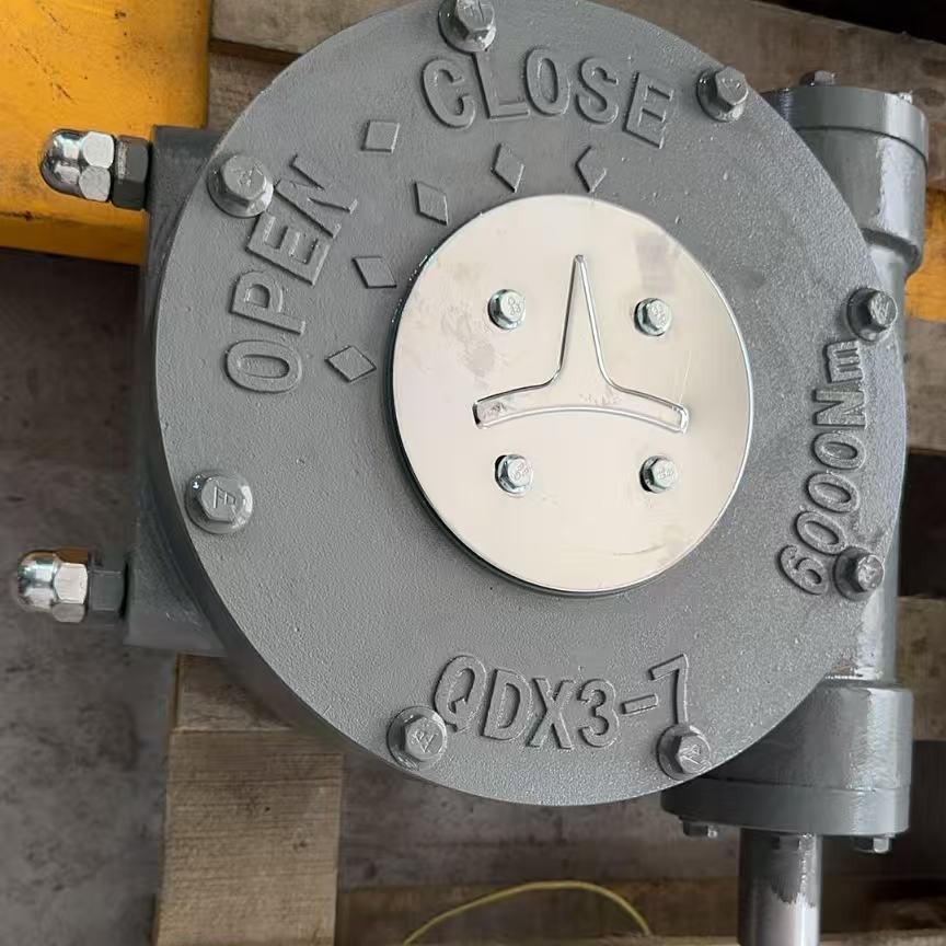 Butterfly valve worm gear head ball valve, turbine box part rotary valve, manual device, QDX reducer transmission details Picture