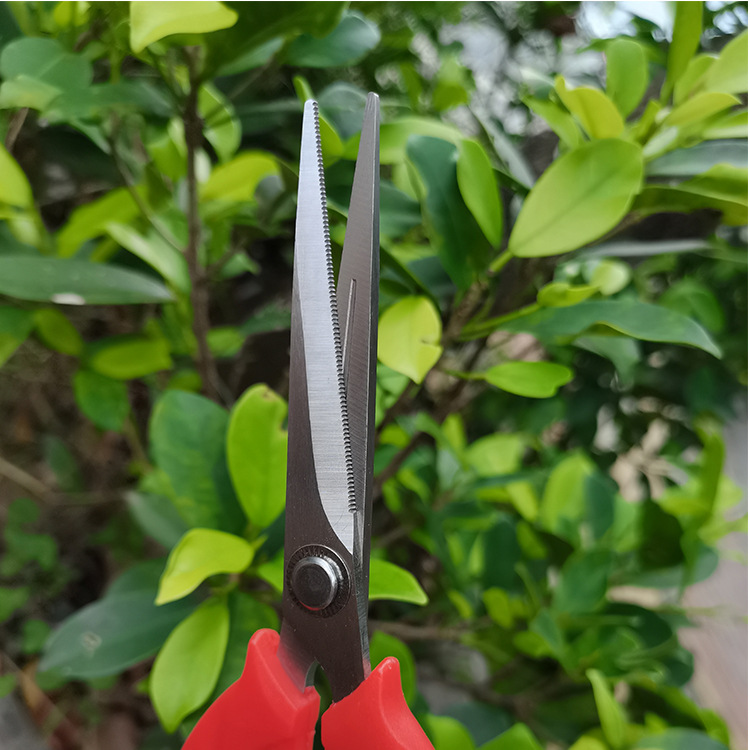 Factory direct sales, wholesale of multi-functional stainless steel pruning shears, grape shears, fruit and vegetable picking shears, flower art and rare fruit shears Specification drawing