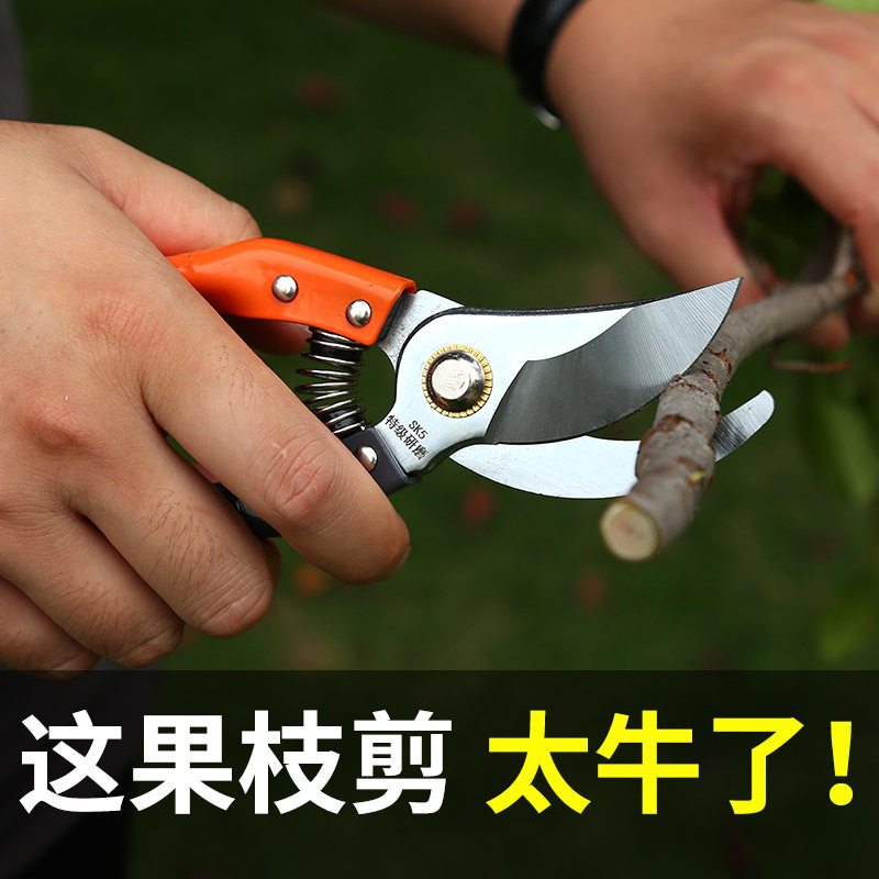 Fruit tree pruning shears, SK5 knife garden flower art scissors, special garden fruit branch pruning shears, labor-saving shears details Picture