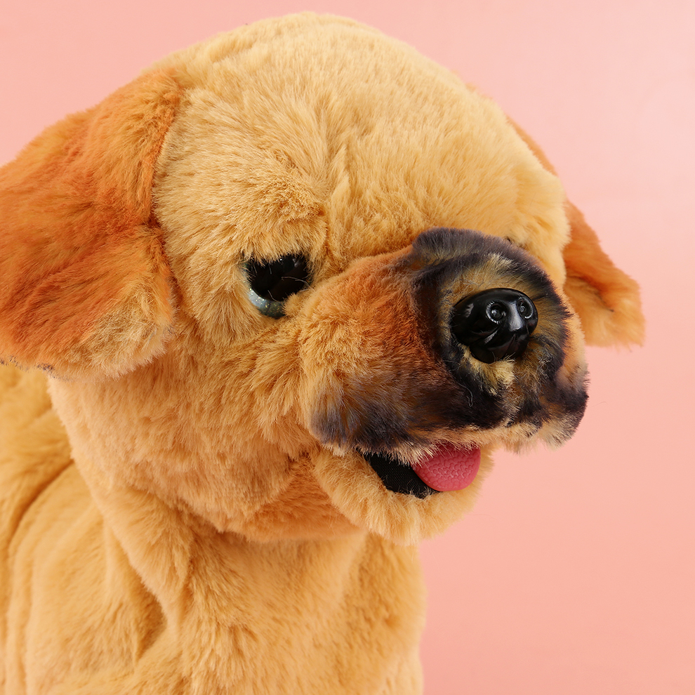 Infinite cuteness! Cute and adorable electric plush puppy, accompanied by love, with recorded and stored sweet words, and lively singing that melts hearts Application Scenario