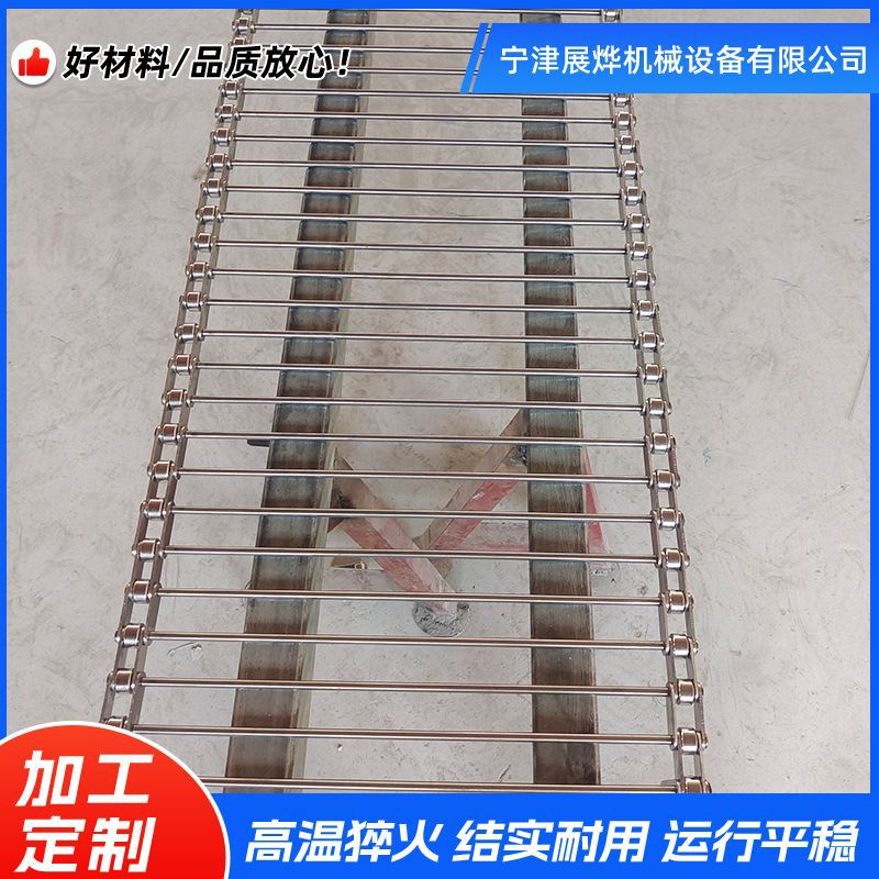 Stainless steel support shaft chain through rod chain, fruit and vegetable cleaning quail egg transportation production line, non-standard roller type support shaft chain details Picture