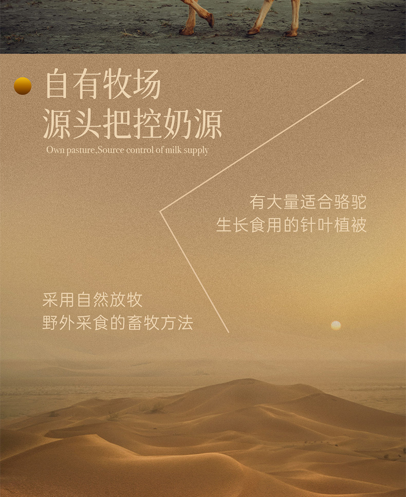 包邮批发原装进口营养品骆驼奶粉哈萨克斯坦金骆驼全脂驼乳粉300g详情23