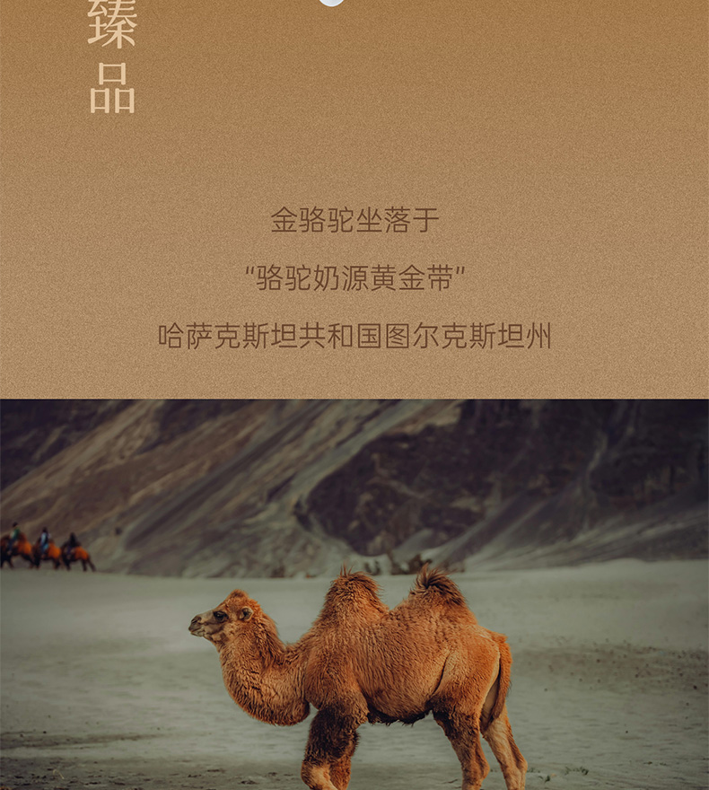 包邮批发原装进口营养品骆驼奶粉哈萨克斯坦金骆驼全脂驼乳粉300g详情22
