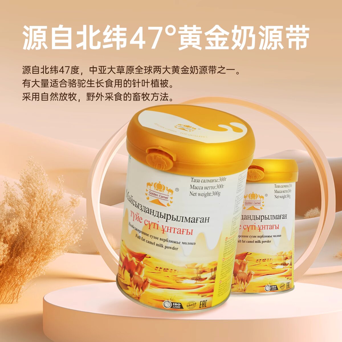 包邮批发原装进口营养品骆驼奶粉哈萨克斯坦金骆驼全脂驼乳粉300g详情图2