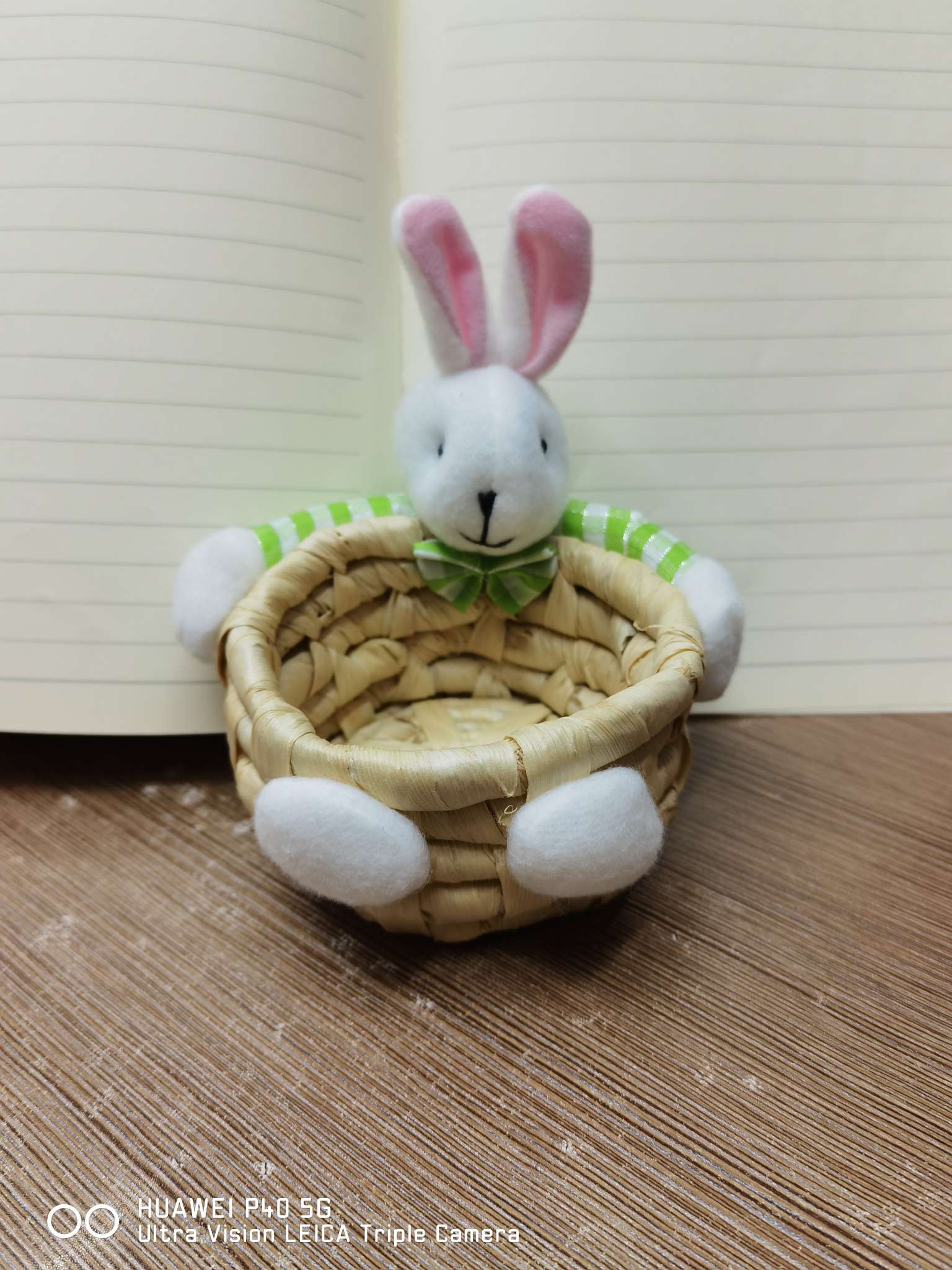 动物收纳篮桌面杂物遥控器钥匙扣
