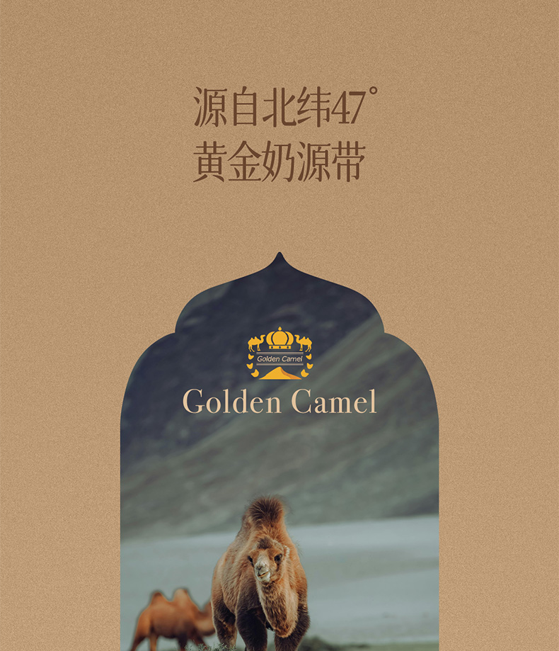 包邮批发原装进口营养品骆驼奶粉哈萨克斯坦金骆驼全脂驼乳粉300g详情5