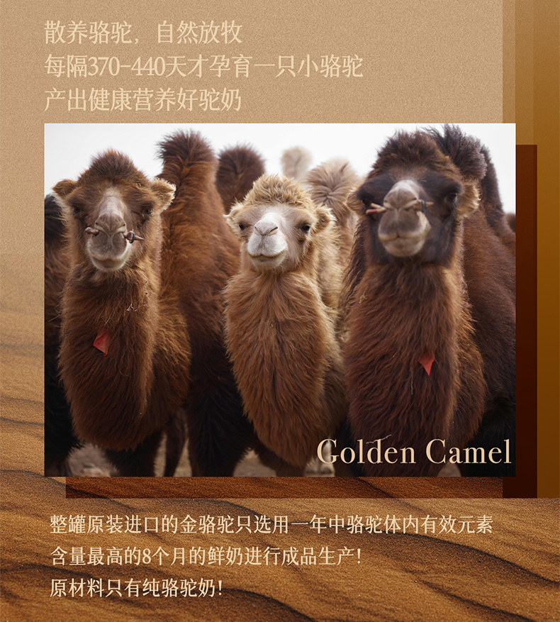 包邮批发原装进口营养品骆驼奶粉哈萨克斯坦金骆驼全脂驼乳粉300g详情7