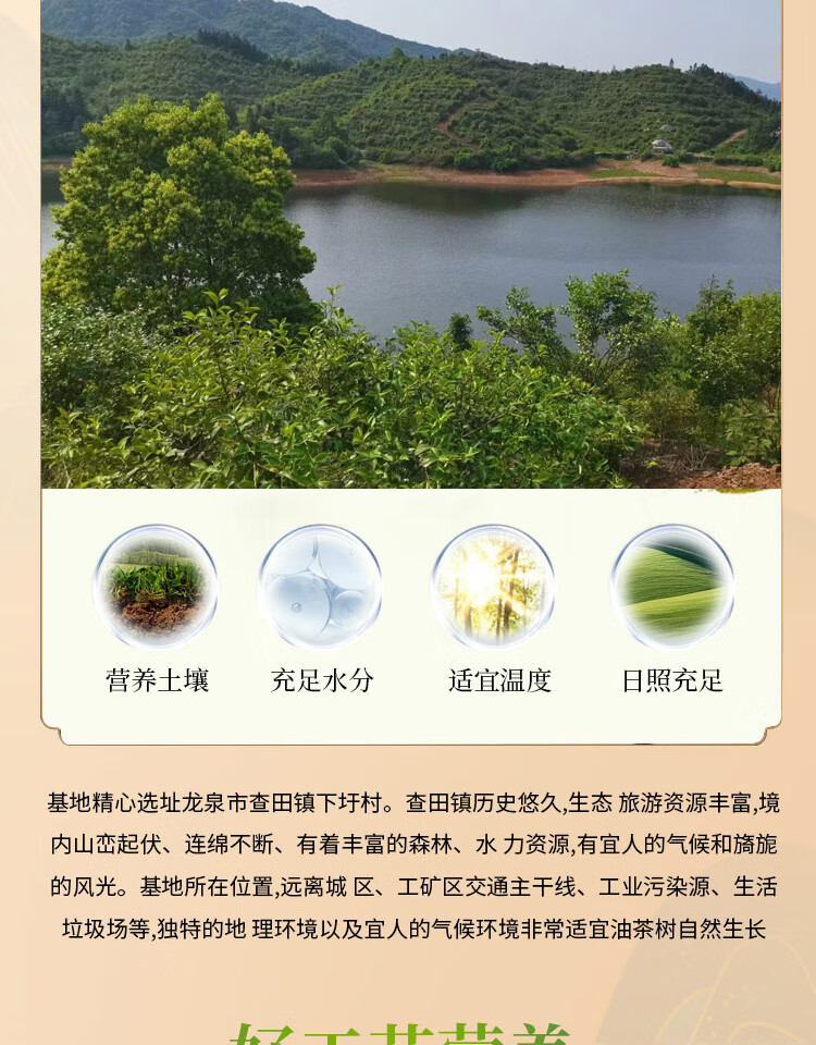 包邮批发径膳康有机茶油2000ml茶籽油植物油食用炒菜油月子油初榨详情11