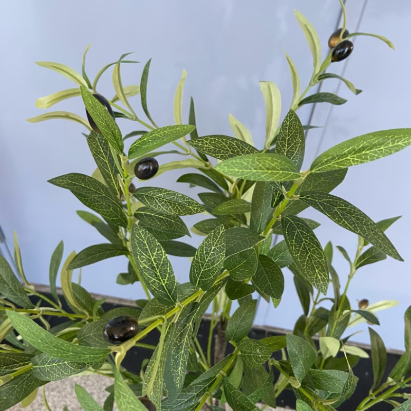 Factory store artificial plant potted plants, olive trees, artificial small trees, landscape creation, horticultural decoration, home soft furnishing and display items details Picture
