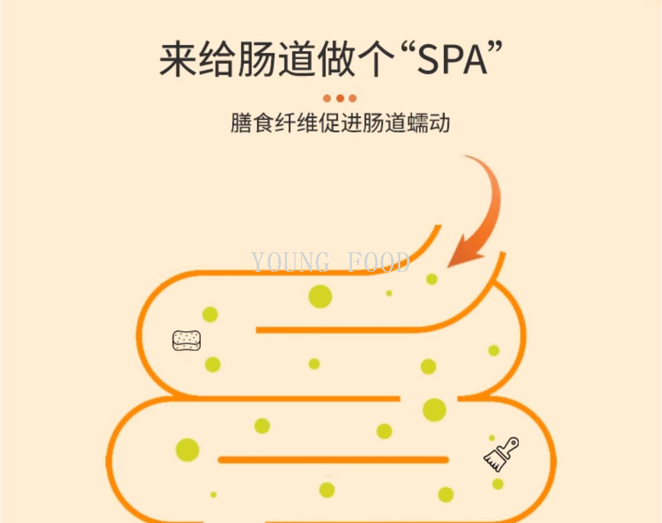 包邮原装进口代餐替餐速食澳斯威林速食燕麦片 冲调谷物制品500g详情11