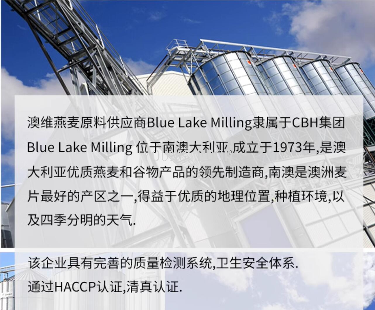 包邮原装进口代餐替餐速食澳斯威林速食燕麦片 冲调谷物制品500g详情5