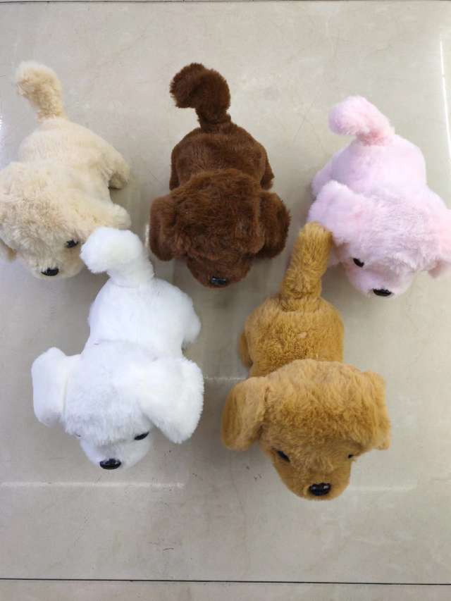 电动金毛狗，一件140个，会走路带声音，无包装一件5个颜色混装