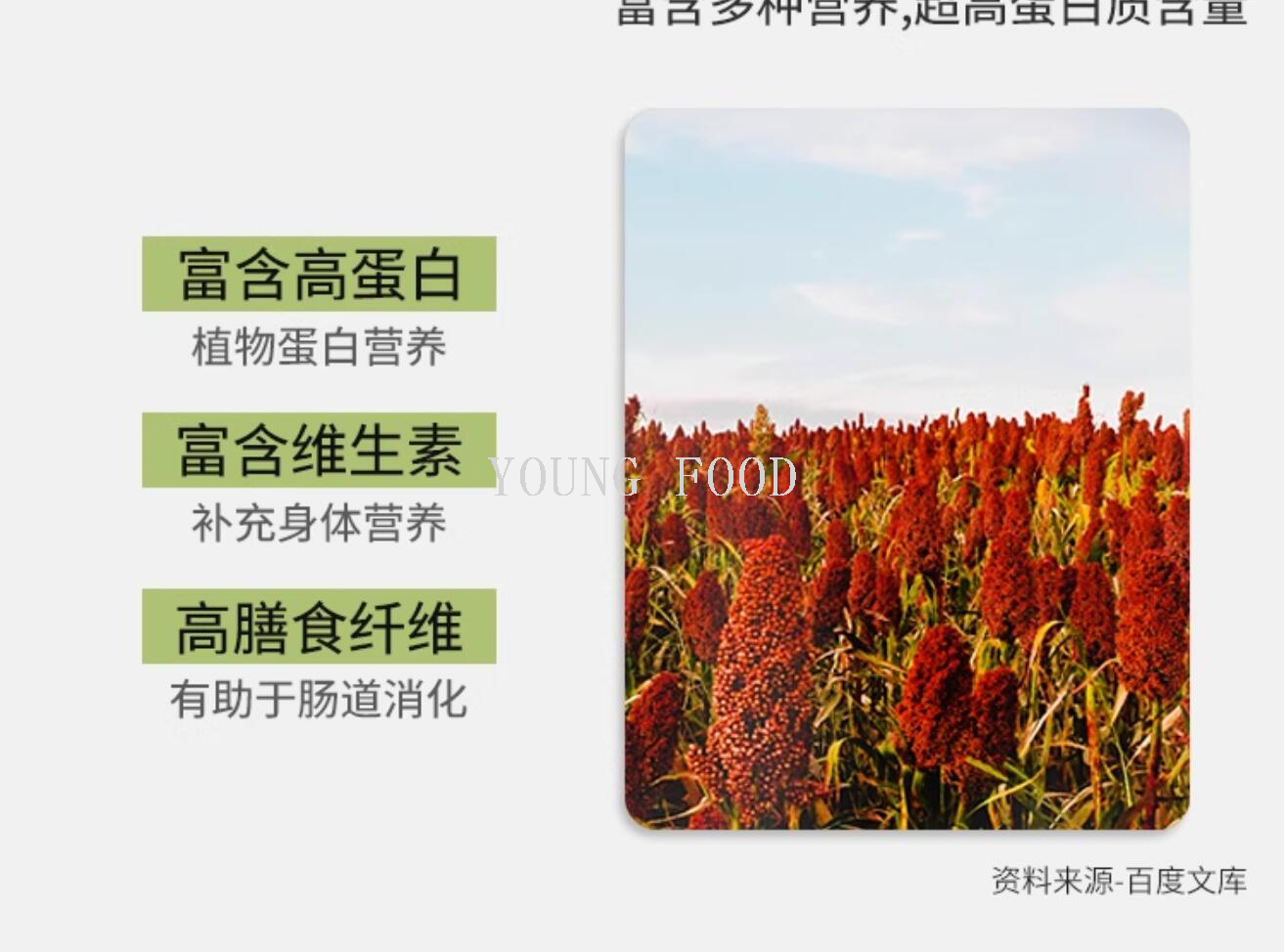 包邮原装进口代餐替餐速食澳斯威林速食燕麦片 冲调谷物制品500g详情10