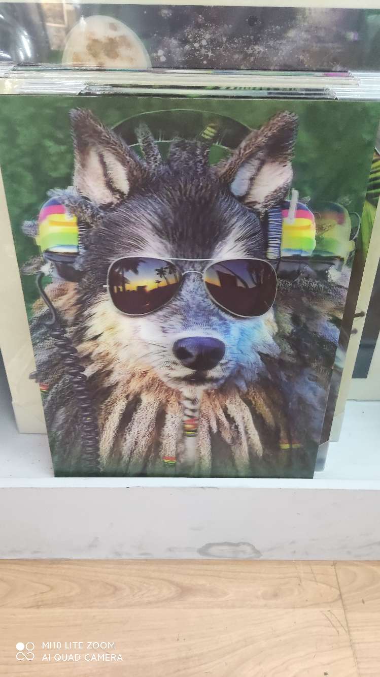 立体3d版画，狼，装饰画，Y688