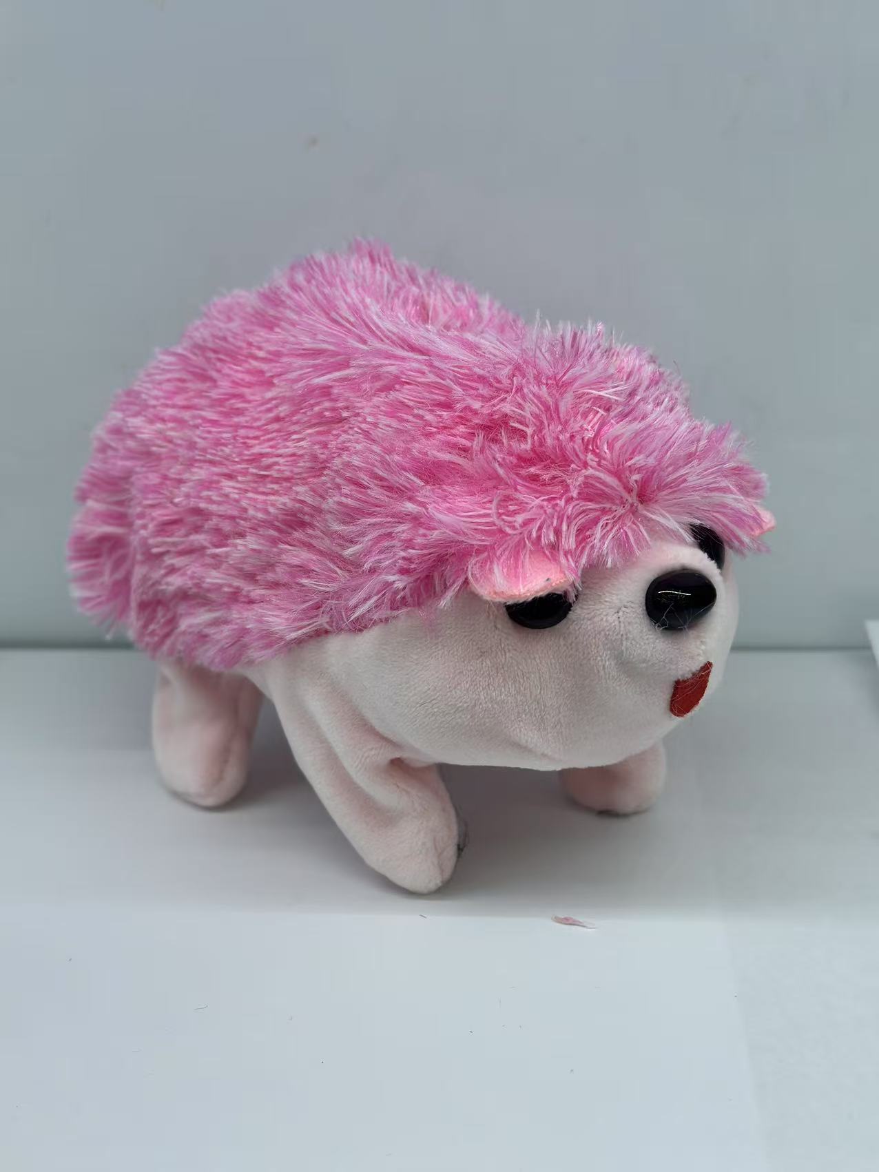 发条玩具实物图