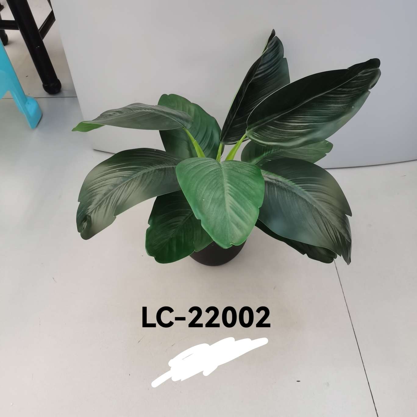 Bonsai and flower slices are used for home and hotel decoration details Picture