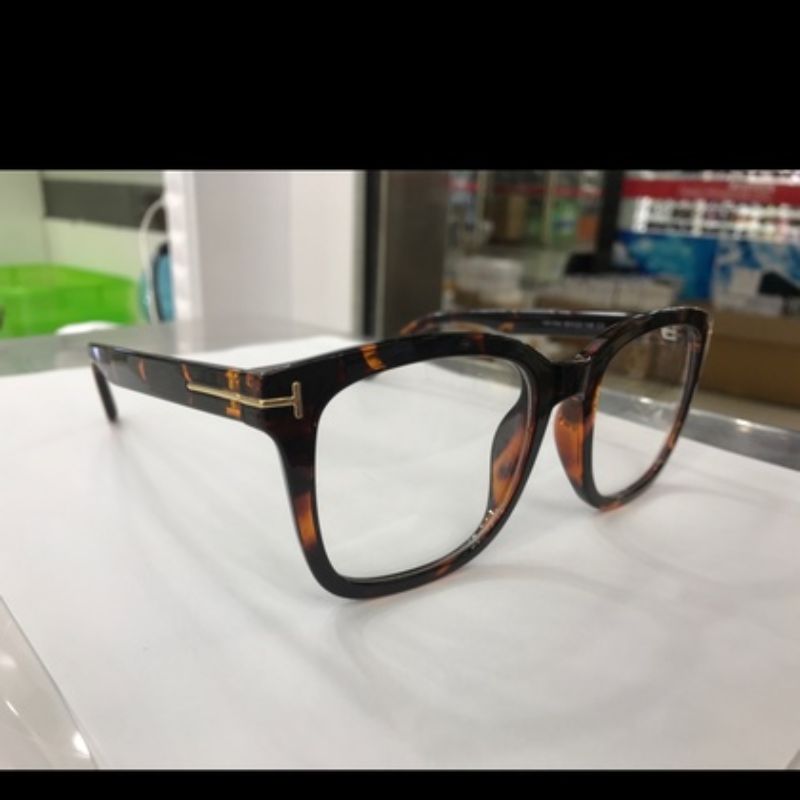 TR 大框 玳瑁色 眼镜