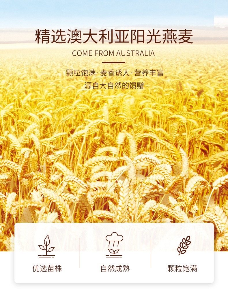 Super超级马来西亚进口3合1红稻米燕麦麦片即食谷物营养早餐食品详情4