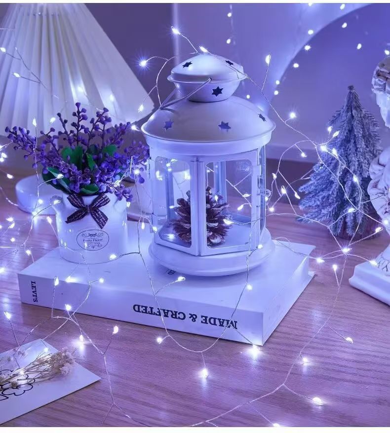 圣诞灯串灯户外LED灯串圆球装饰节日照明昆虫灯串灯串灯饰灯饰照明产品图