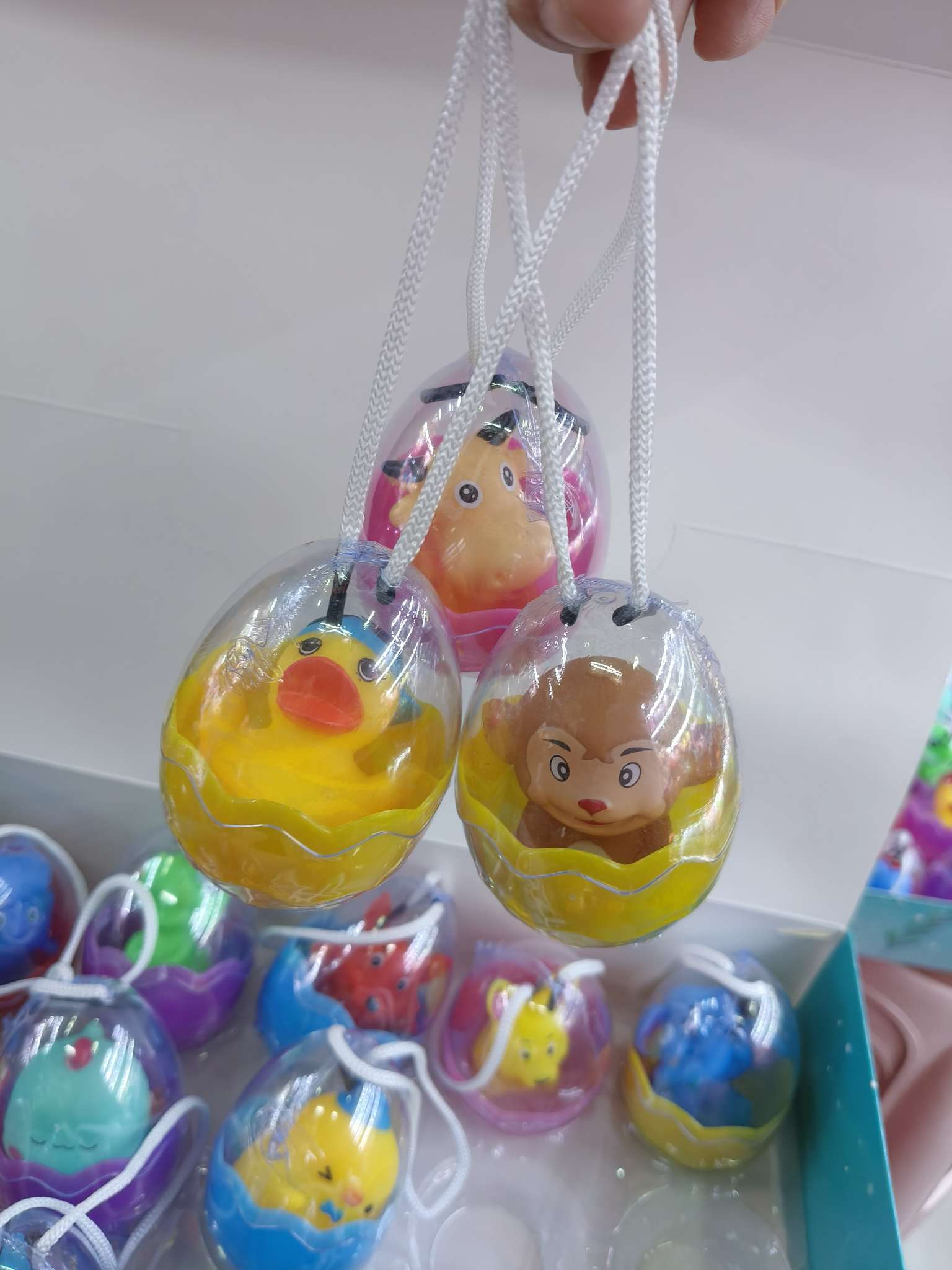 动植物/仿真模型实物图