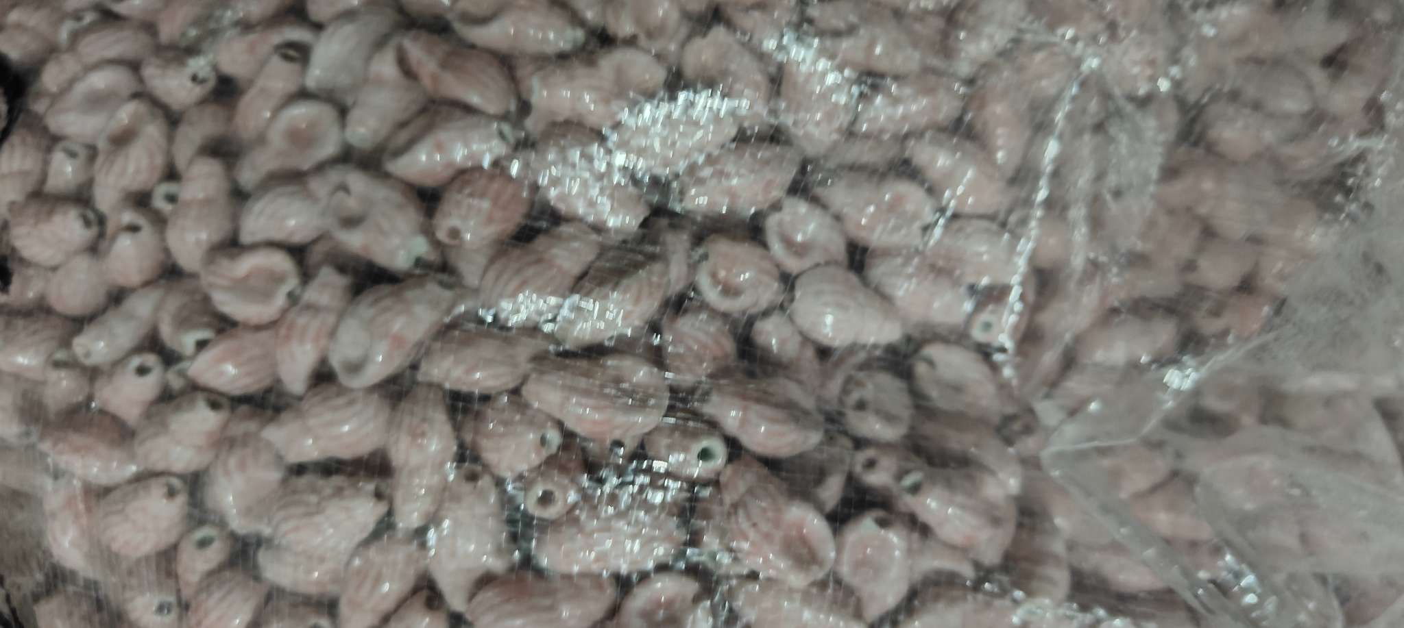 陶瓷海洋系列 小海螺 散珠串珠饰品配件手工DIY半成品珠子材料
