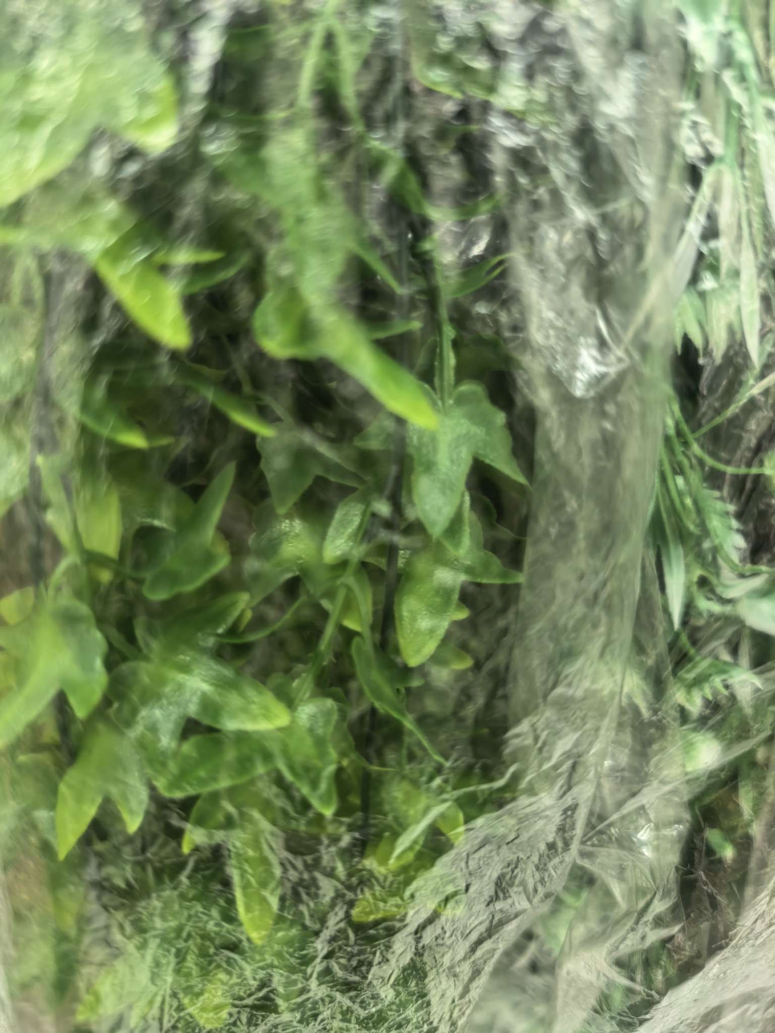 宠物及园艺盆景盆多肉植物绿植盆栽家庭室内装饰花卉园艺用品