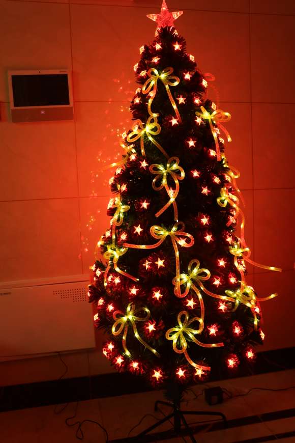 户外LED灯串圣诞灯圆球节日装饰灯串室外昆虫灯串照明灯饰灯带细节图