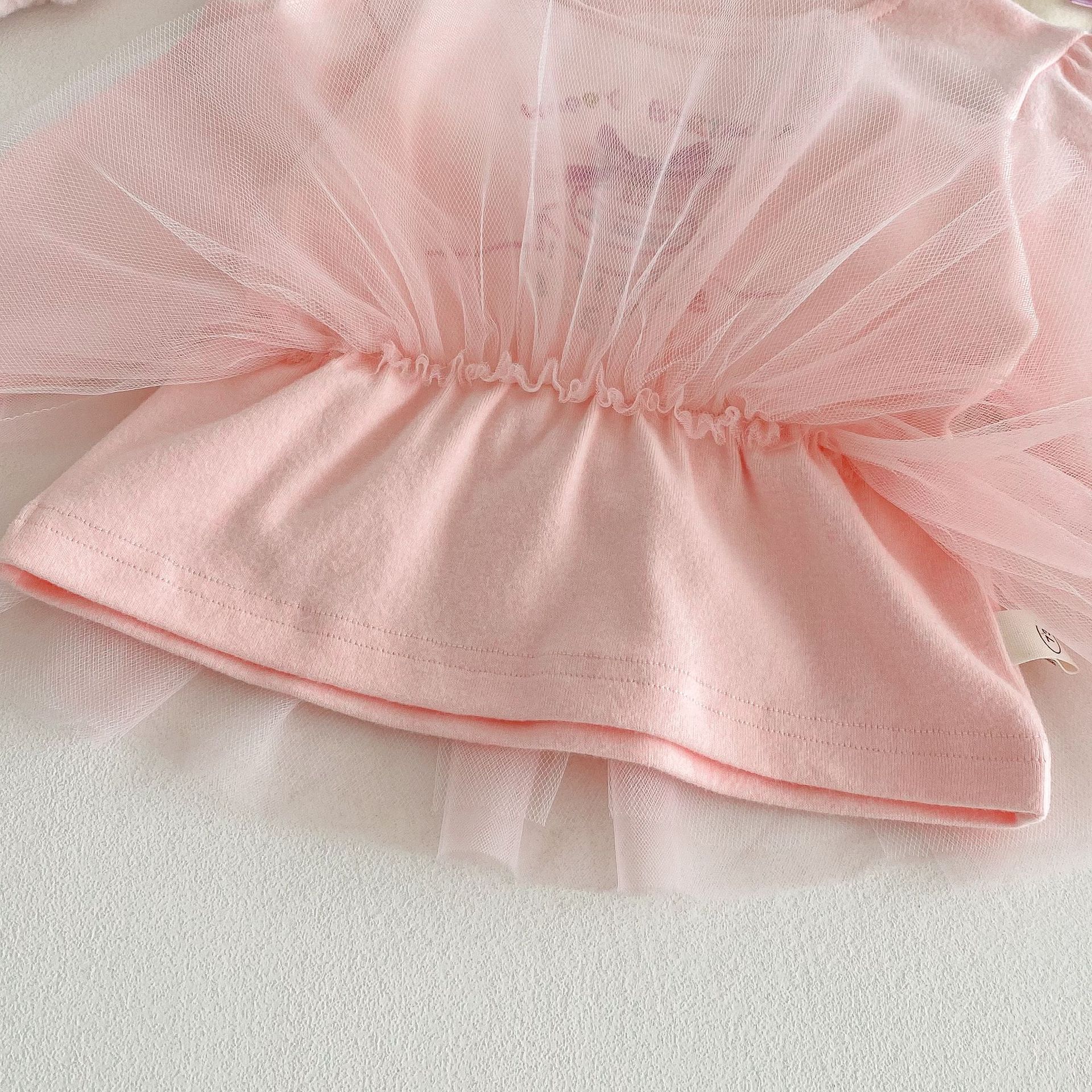 Stylish base shirt for girls 2025 new spring, embroidered long-sleeved princess T-shirt for babies aged 0-5, trendy children's spring clothing Application Scenario