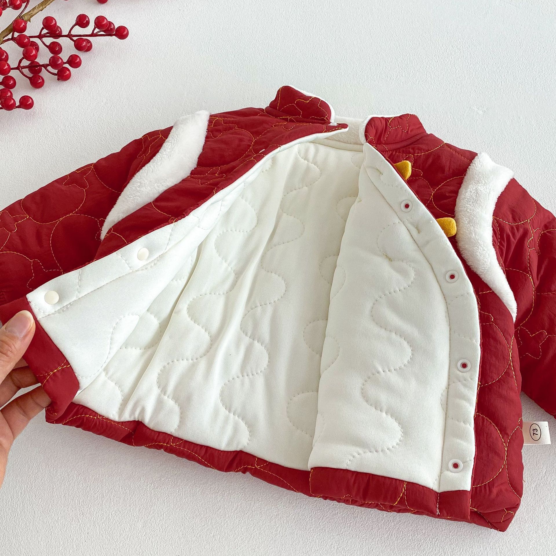Baby cotton-padded New Year's clothing for winter 2025, thickened outer jumpsuit for babies, newborn clothes AL758 Application Scenario