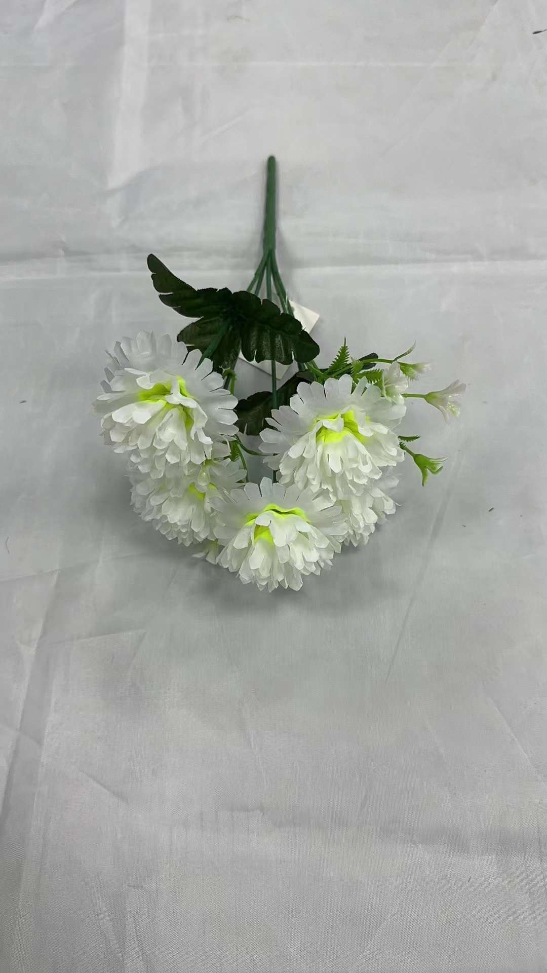 热销全球细节图