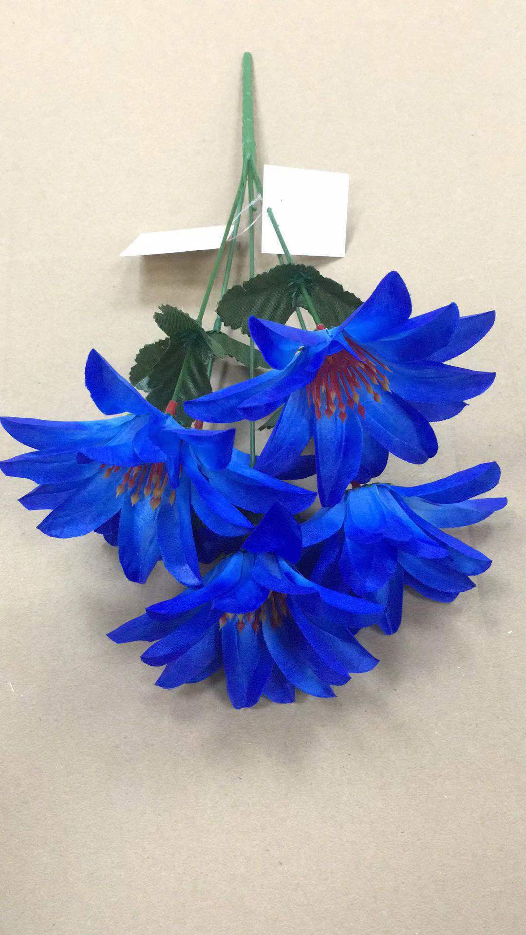 热销全球产品图