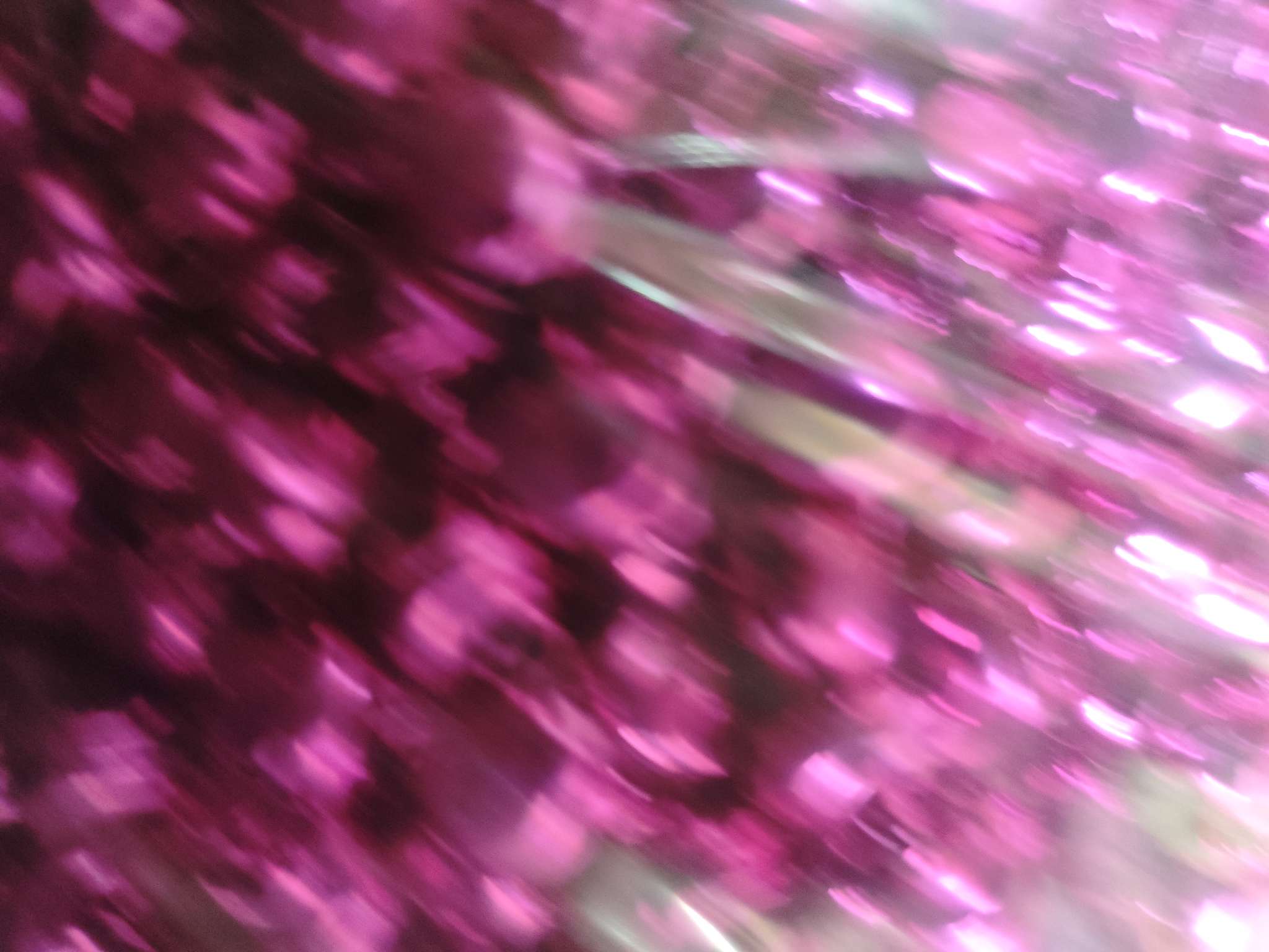 2025年新款精品铃铛鱼嘴铃铛玫红色
可做圣诞用品，车挂件，中国结挂件，手链项链搭配专用，款式齐全，价格实惠。，