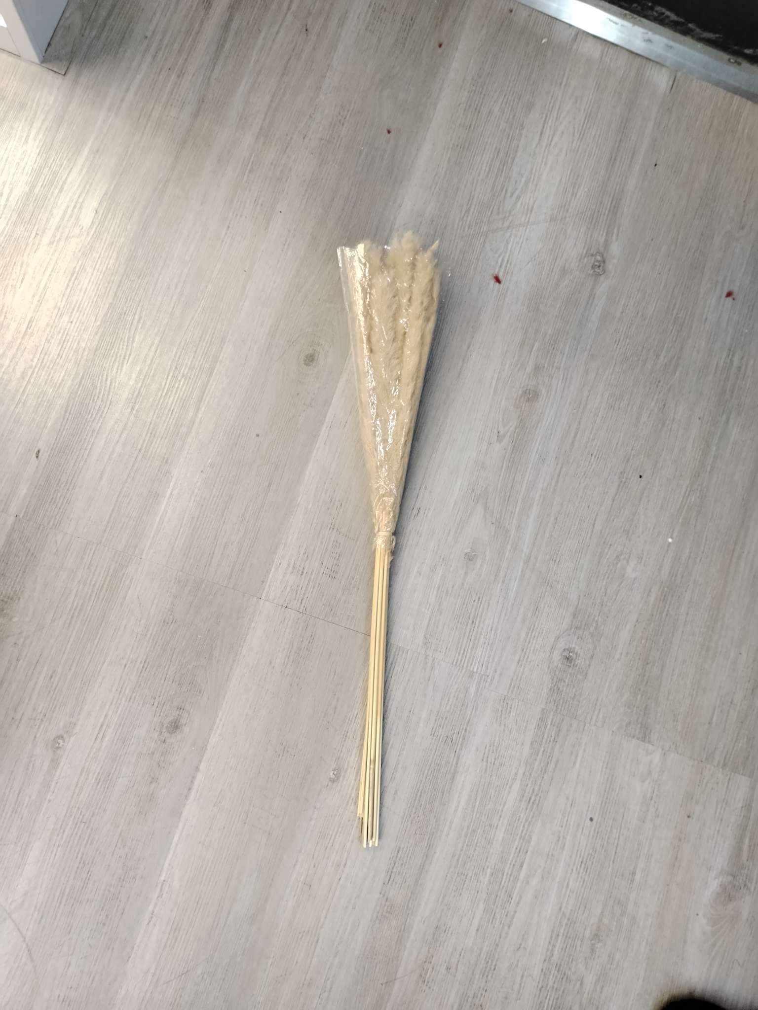 bf-0001天然干花凤尾草