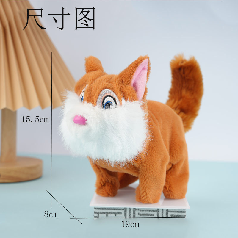 毛绒公仔、玩偶、娃娃实物图