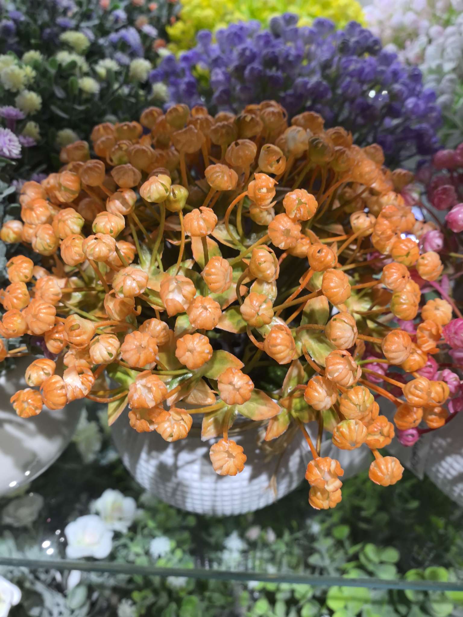 Flower POTS, succulents, green plants, indoor office and living room decoration flowers, green plants, bonsai, and maintenance plants details Picture