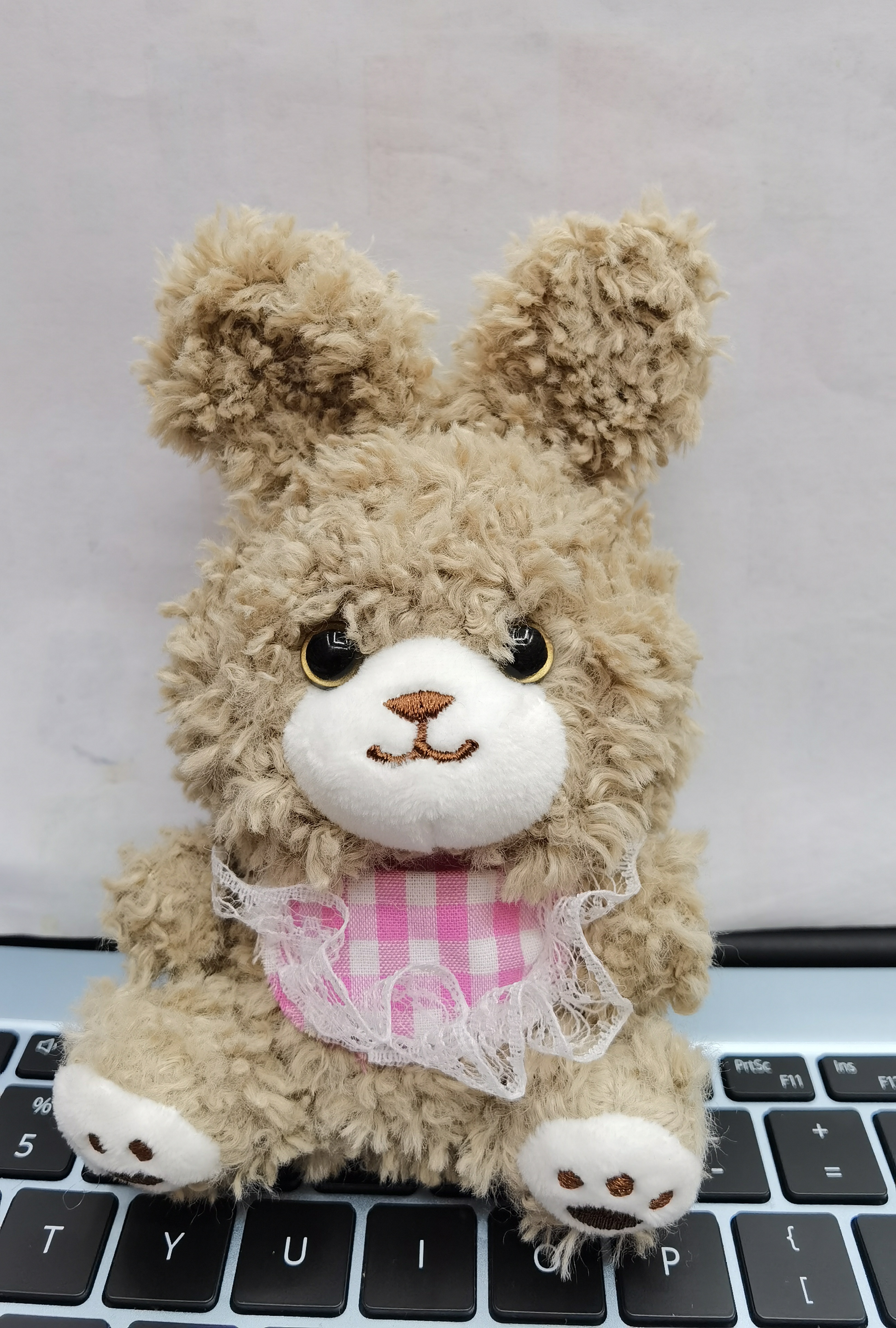 毛绒玩具 玩偶娃娃挂件    软体儿童玩具  高品质毛绒钥匙扣  温馨陪伴儿童的好伙伴  动物系列 小兔子