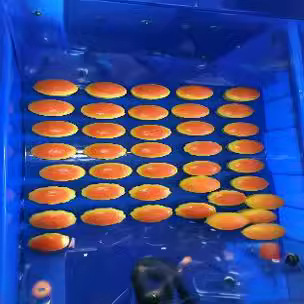 The simulated bread is fragrant, soft, slow to rebound, wet and soft. The huge bread is decorated with a fake model cake. Play house and relieve stress Application Scenario