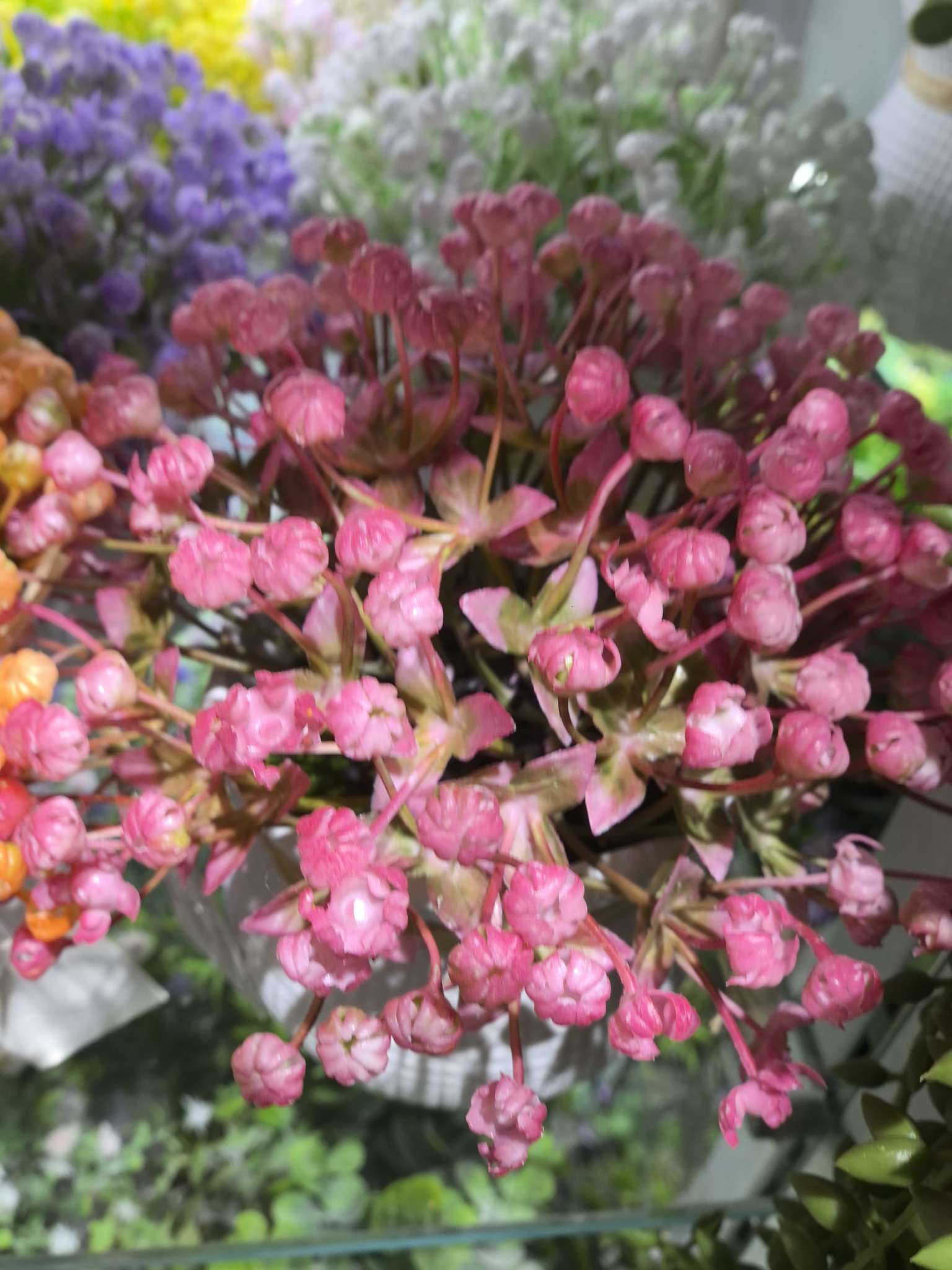 Flower POTS, succulents, green plants, indoor office and living room decoration flowers, green plants, bonsai, and maintenance plants Specification image